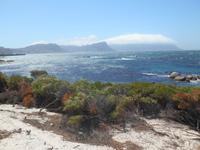 Boulders Beach bei Simon’s Town - Heimat der Brillenpinguine