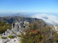 Kapstadt (Ausblick vom Tafelberg)
