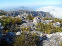 Kapstadt (Ausblick vom Tafelberg)