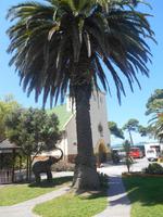 Kapstadt (iThemba Labantu Lutheran Community Centre)