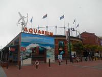 Kapstadt (Two Oceans Aquarium)