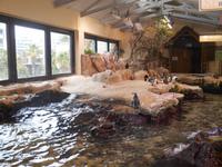 Kapstadt (Two Oceans Aquarium)