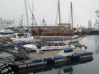 Kapstadt (Victoria & Alfred Waterfront - Hafenrundfahrt)