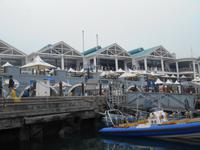 Kapstadt (Victoria & Alfred Waterfront - Hafenrundfahrt)