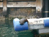 Kapstadt (Hafenrundfahrt)