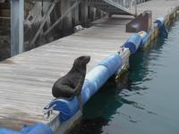 Kapstadt (Hafenrundfahrt)