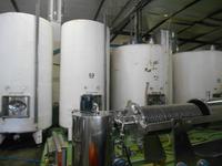 Stellenbosch (Kellerführung auf dem Weingut 