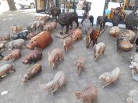 Stellenbosch (unterwegs in der Innenstadt...)