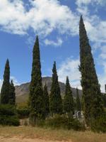 Franschhoek (am Hugenotten-Museum)