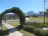 Fahrt von Kapstadt nach Hermanus - Strand (Geparden-Park)