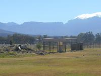 Fahrt von Kapstadt nach Hermanus - Strand (Geparden-Park)