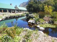 Fahrt von Kapstadt nach Hermanus - Betty´s Bay (Botanischer Garten)