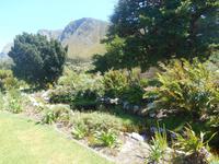 Fahrt von Kapstadt nach Hermanus - Betty´s Bay (Botanischer Garten)