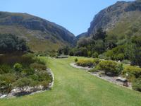 Fahrt von Kapstadt nach Hermanus - Betty´s Bay (Botanischer Garten)