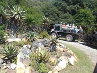 Featherbed Naturreservat (Fahrt mit Geländewagen)
