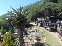 Featherbed Naturreservat (Fahrt mit Geländewagen)