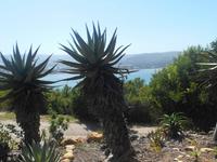 Featherbed Naturreservat (Fahrtimpressionen vom Geländewagen aus)