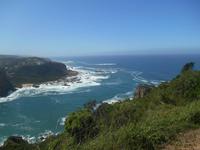 Featherbed Naturreservat (Impressionen bei der Wanderung)