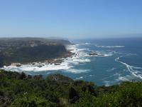 Featherbed Naturreservat (Impressionen bei der Wanderung)