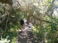 Featherbed Naturreservat (Impressionen bei der Wanderung)
