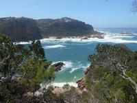 Featherbed Naturreservat (Impressionen bei der Wanderung)