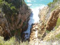 Featherbed Naturreservat (Impressionen bei der Wanderung)