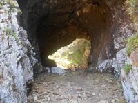 Featherbed Naturreservat (Impressionen bei der Wanderung - Sea Cave)
