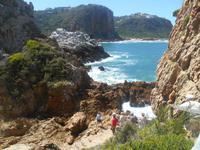 Featherbed Naturreservat (Impressionen bei der Wanderung)