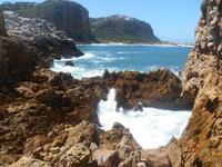 Featherbed Naturreservat (Impressionen bei der Wanderung)
