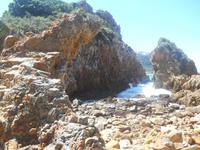 Featherbed Naturreservat (Impressionen bei der Wanderung)