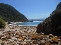 Featherbed Naturreservat (Impressionen bei der Wanderung)
