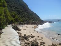 Featherbed Naturreservat (Impressionen bei der Wanderung)