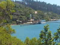 Featherbed Naturreservat (Impressionen bei der Wanderung)