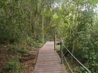 Tsitsikamma-Nationalpark (Wanderung zur Hängebrücke)