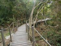 Tsitsikamma-Nationalpark (Wanderung zur Hängebrücke)