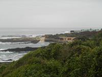Tsitsikamma-Nationalpark (Wanderung zur Hängebrücke)