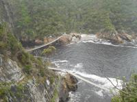 Tsitsikamma-Nationalpark (Wanderung zur Hängebrücke)