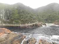Tsitsikamma-Nationalpark (Hängebrücke)