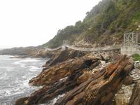 Tsitsikamma-Nationalpark (Hängebrücken)