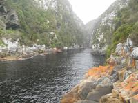 Tsitsikamma-Nationalpark (Ausblick von der Hängebrücke)