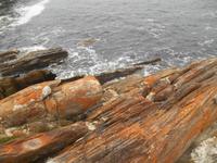 Tsitsikamma-Nationalpark (Ausblick von der Hängebrücke)