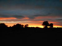 Kariega Wildreservat (Sonnenuntergang am 24.02.)