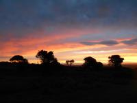 Kariega Wildreservat (Sonnenuntergang am 24.02.)
