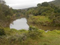 Morgen-Safari am 25.02. - Idylle im Kariega Wildreservat