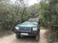 Kariega (Rundgang durch den Lodge-Bereich)