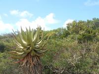 Kariega (Rundgang durch den Lodge-Bereich)