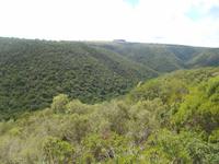 Kariega (Rundgang durch den Lodge-Bereich - Blick in den Busch)