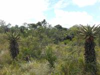 Kariega (Rundgang durch den Lodge-Bereich)