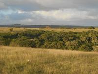 Abend-Safari am 25.02. - Idylle im Kariega Wildreservat