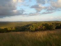 Abend-Safari am 25.02. - Idylle im Kariega Wildreservat